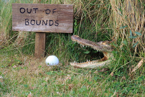 Navigating The Course: Your Guide To Golf Course Hazards